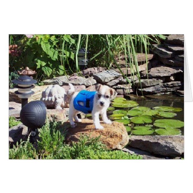 Cartão Lacey, o Lifeguard (Frente Horizontal)