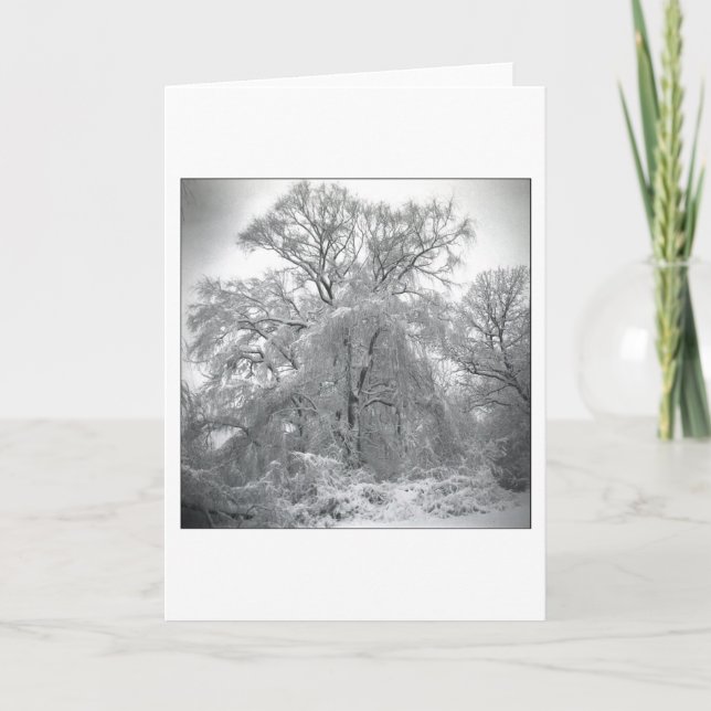 Cartão laço (Frente)