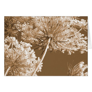 Cartão Laço da rainha Ann