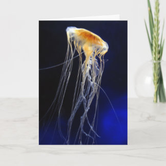 Cartão - laço de derivação