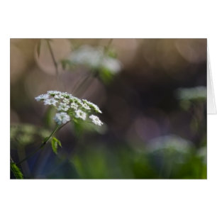 Cartão Laço do fim do verão