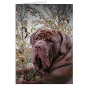 Cartão Lado delicado - Mastiff de Neopolitan