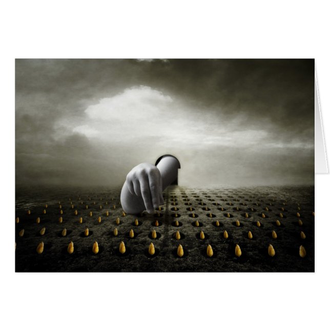 Cartão Ladrão de Tulipas 2013 (Frente Horizontal)