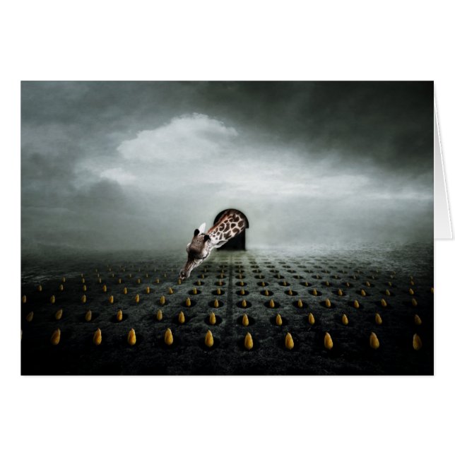 Cartão ladrão de tulipas 2 2013 (Frente Horizontal)