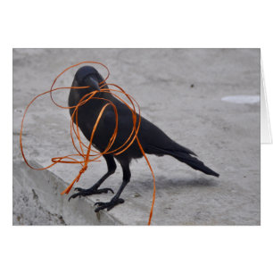 Cartão Ladrão no preto