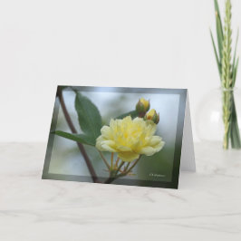 Cartão Lady Banks Rosea