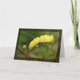 Cartão Lady Banks Rosea Duo