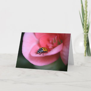 Cartão Lady Bug