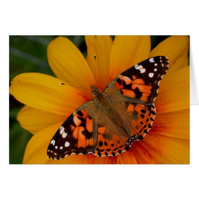 Cartão Lady Butterfly Pintada (Frente Horizontal)