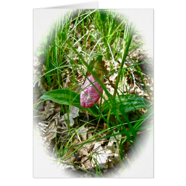 Cartão Lady Slipper Wild Orchid Card (Frente)