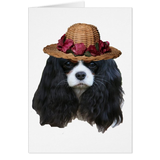 Cartão Lady Tansy (Frente)