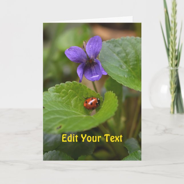 Cartão Ladybug em Flores de Violeta Doce (Frente)