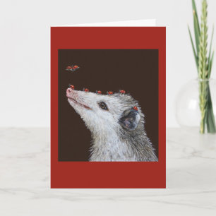 Cartão Ladybug Launchpad