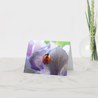 Cartão LadyBug Notecard