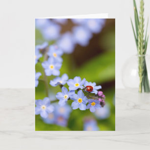 Cartão Ladybug on Forget-me-not Blank Greeting Card