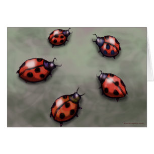 Cartão Ladybugs