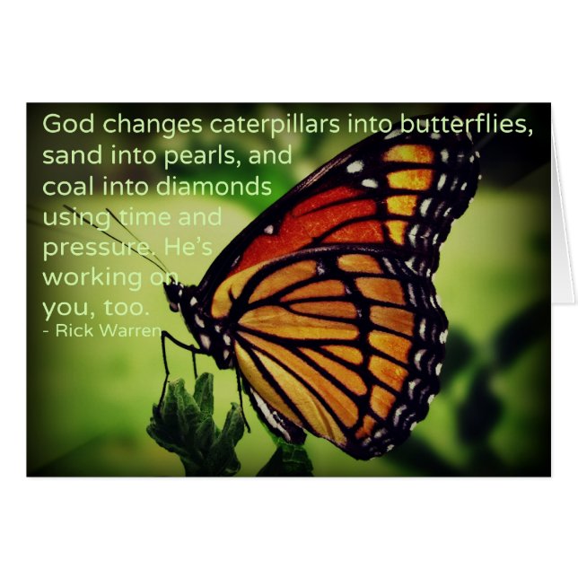 Cartão Lagartas em Borboletas (Frente Horizontal)