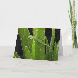 Cartão Lagarto de Anole na planta do aloés