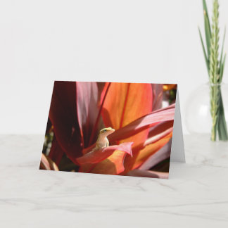 Cartão Lagarto de Kauai