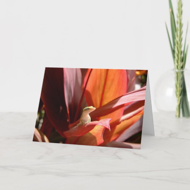 Cartão Lagarto de Kauai (Frente)