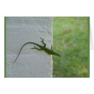 Cartão Lagarto verde que pendura para fora