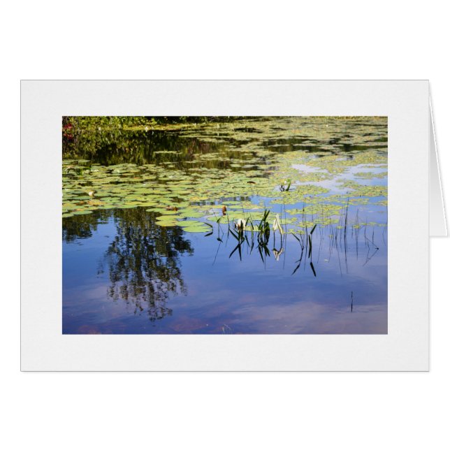 Cartão Lago Caroline (Frente Horizontal)