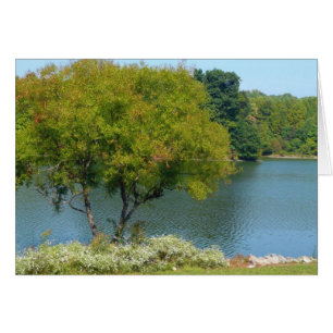 Cartão Lago Centenário em Ellicott, Maryland