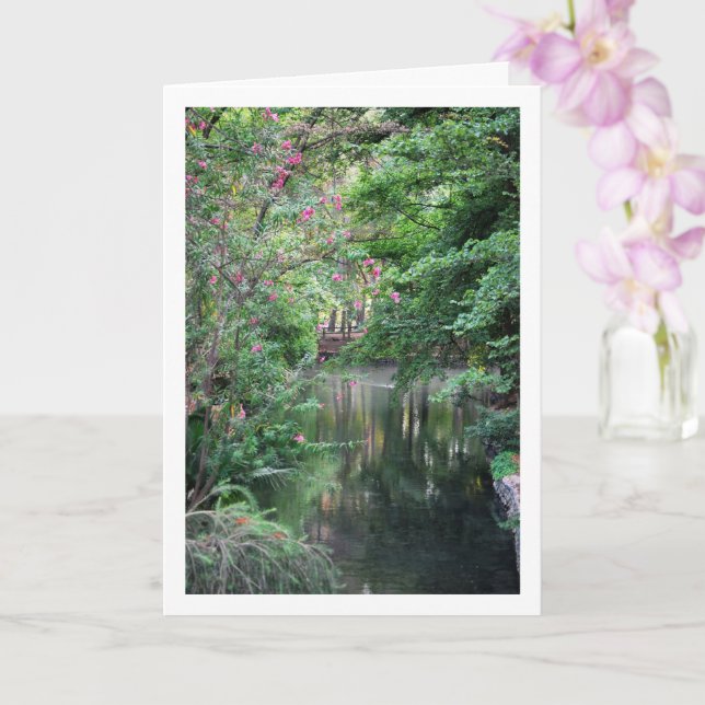 Cartão Lago do rio San Vicente de Lliria, Espanha de Valê (Orquídea)