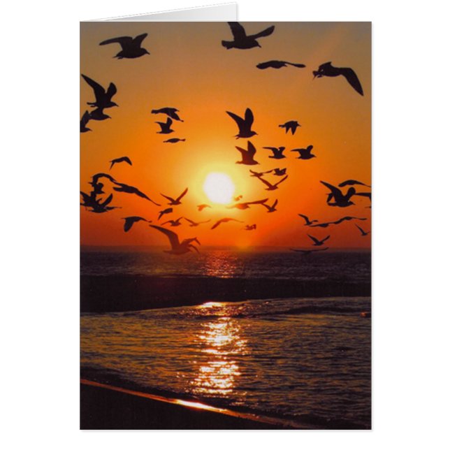 Cartão Lago Erie Sunset (Frente)