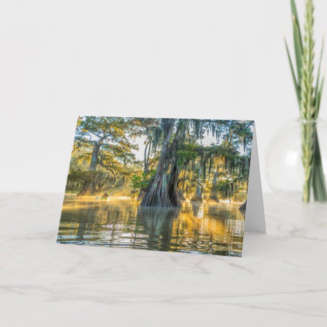 Cartão Lago Fausse Pointe State Park (Frente)