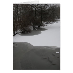 Cartão Lago invernal