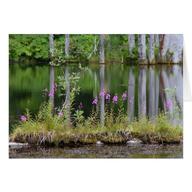 Cartão Lago june (Frente horizontal)