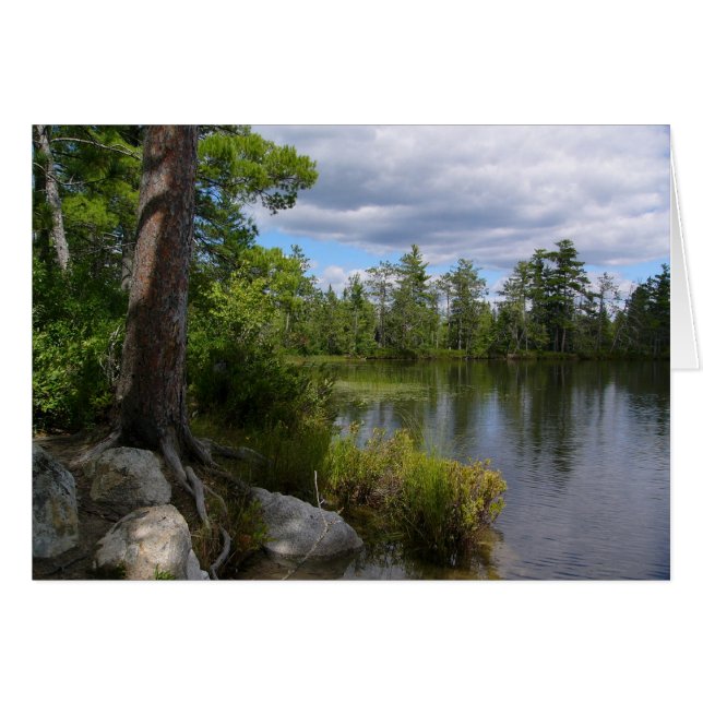 Cartão lago nelligan (Frente Horizontal)