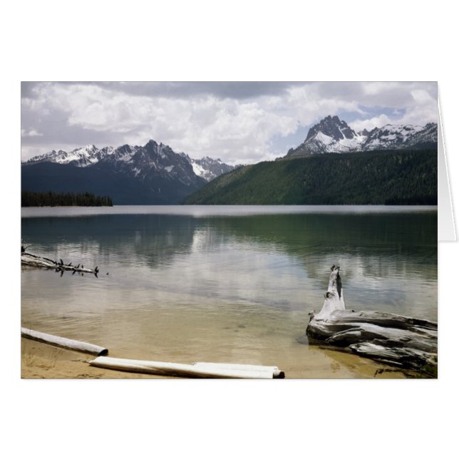 Cartão Lago Red Fish (Frente horizontal)