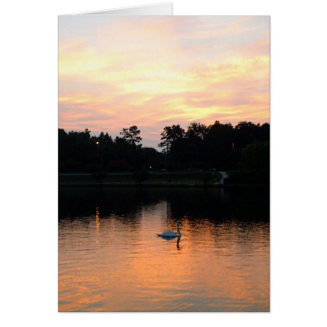Cartão Lago swan (Frente)