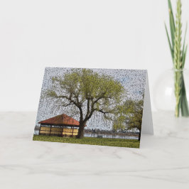 Cartão Lago Wendouree Pavilion Ballarat