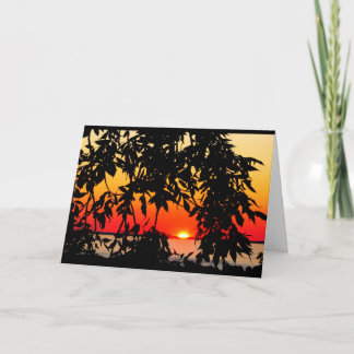 Cartão Lago Winnebago Sunset Pensando Em Você