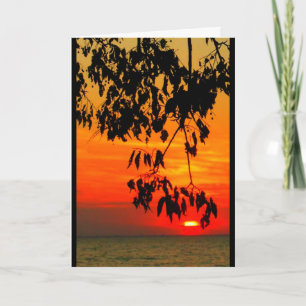 Cartão Lago Winnebago Sunset Pensando Em Você