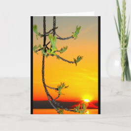 Cartão Lago Winnebago Sunset Pensando Em Você