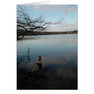 Cartão Lagoa da reflexão