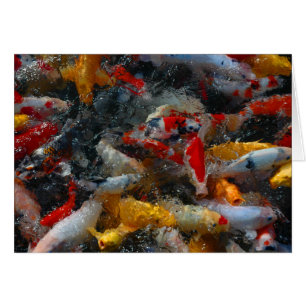 Cartão Lagoa de Koi