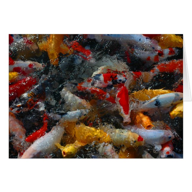 Cartão Lagoa de Koi (Frente horizontal)