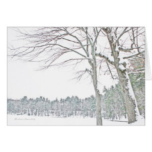 Cartão Lagoa de Walden: No zen