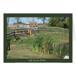 Cartão Lagoa do pato em fazendas do abrigo seguro