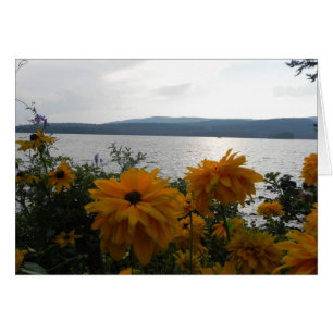 Cartão Lagos belgrade