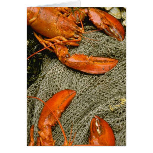 Cartão Lagostas
