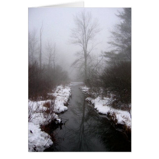 Cartão Lake Hill Winter, NY (Frente)