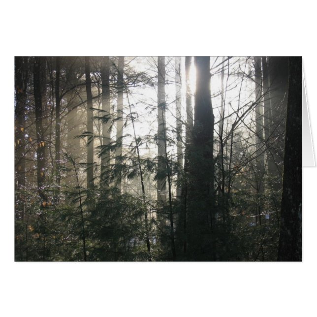 Cartão Lake Hill Winter, NY (Frente Horizontal)