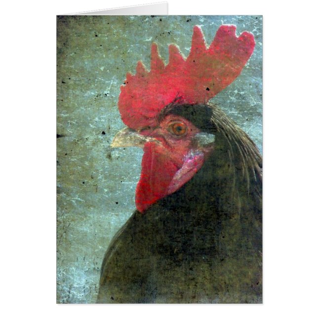 Cartão Lakenvelder Rooster Com Textura (Frente)