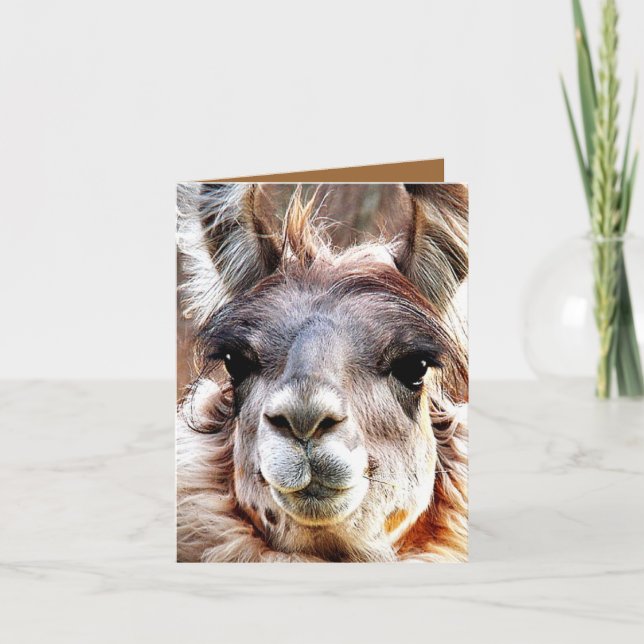 Cartão Lama (Frente)